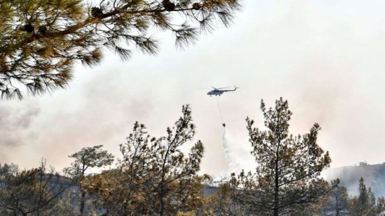 Manisa'da orman yangını