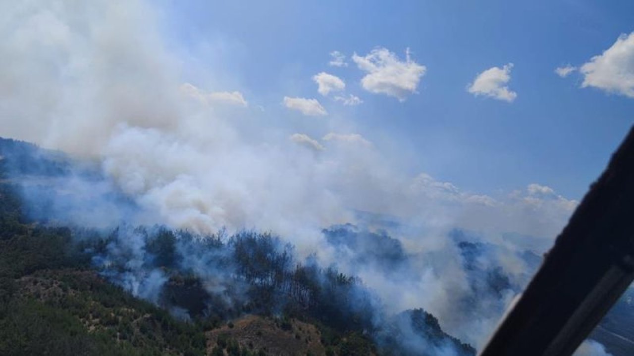 Çanakkale'de korkutan orman yangını