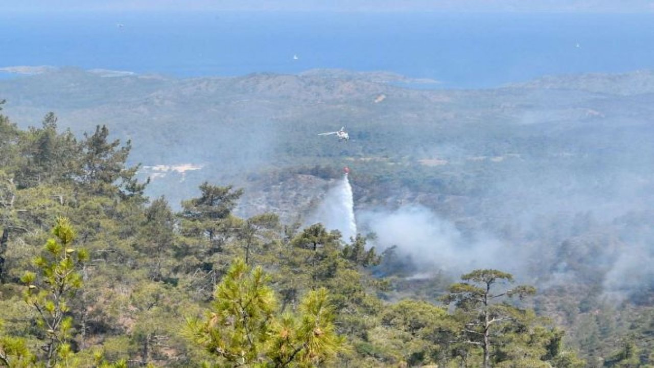 Çanakkale'de orman yangını