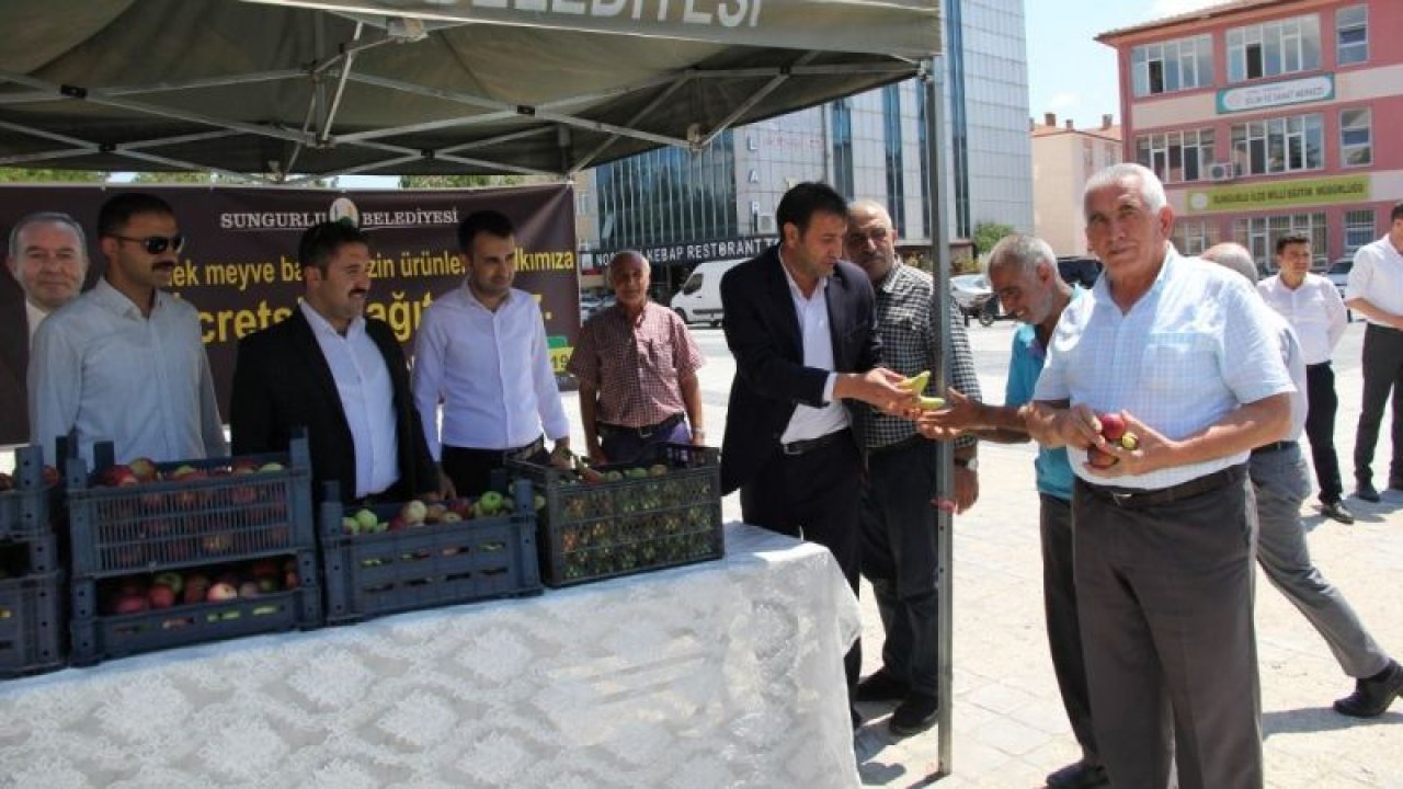 Sungurlu Belediyesi'nden halka ücretsiz meyve