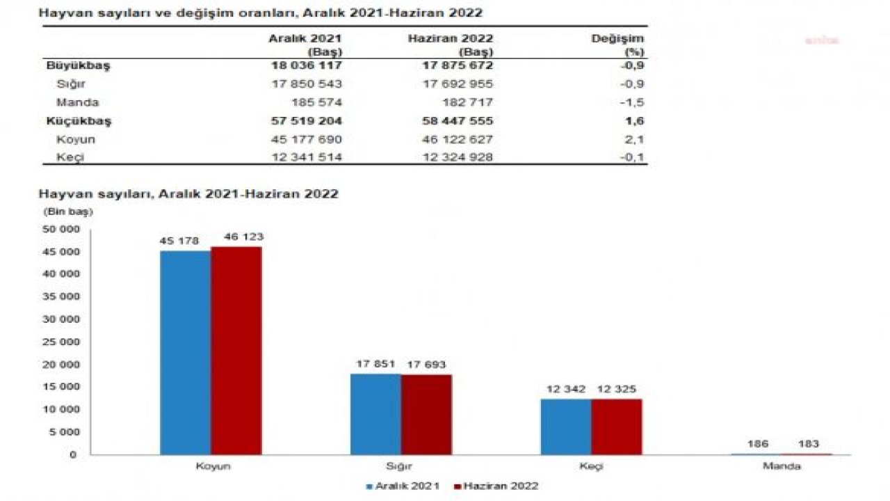 SON 6 AYDA SIĞIR SAYISI YÜZDE 0,9, MANDA SAYISI İSE YÜZDE 1,5 ORANINDA AZALDI