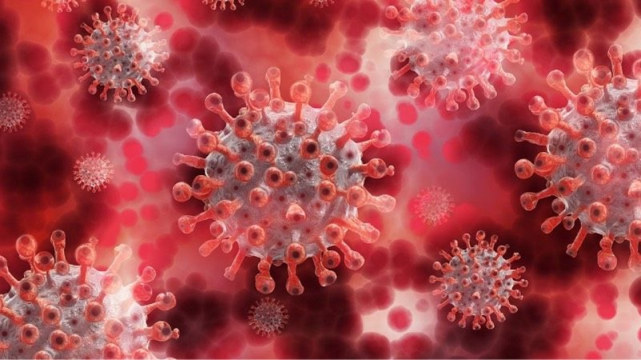 Langya virüsü nedir, nasıl bulaşır, virüsün belirtileri neler?