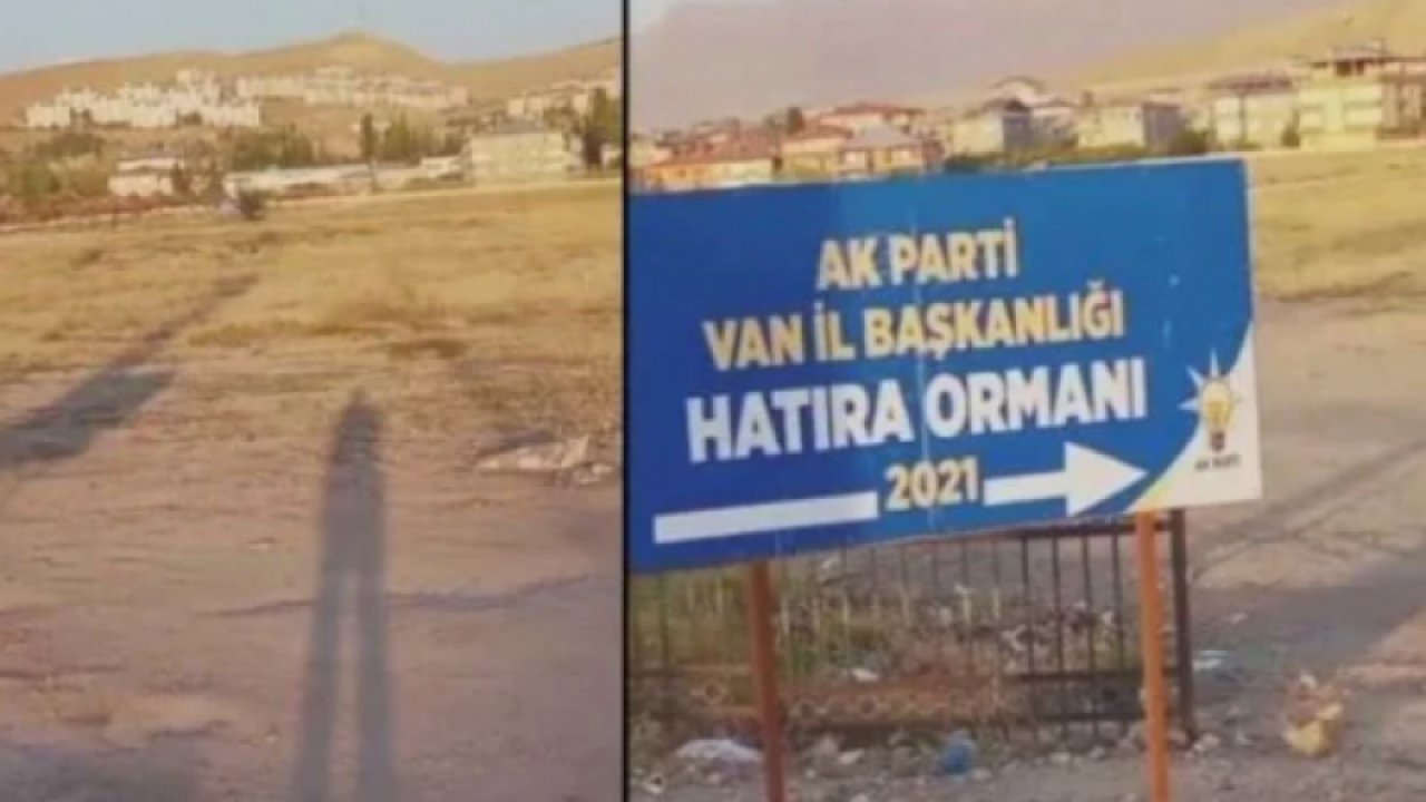 AKP'nin Van'daki ormansız alana dikili tabelası sosyal medyada gündem oldu