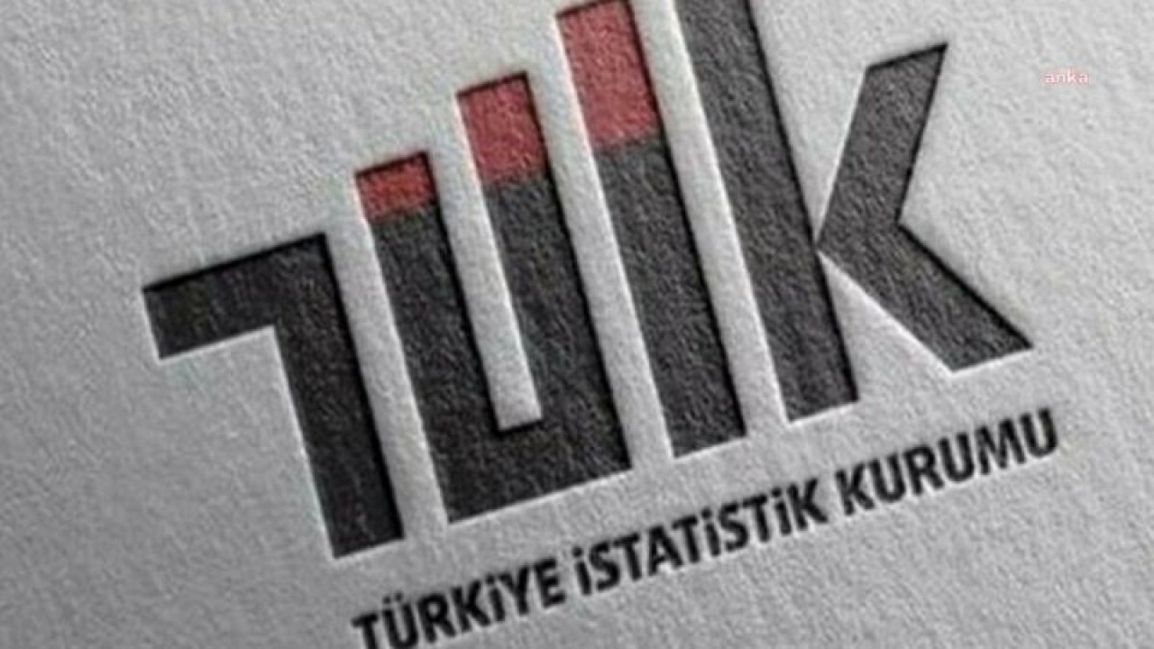 TÜİK: HAZİRAN 2022’DE SANAYİ ÜRETİMİ AYLIK 1,3 PUAN ARTTI