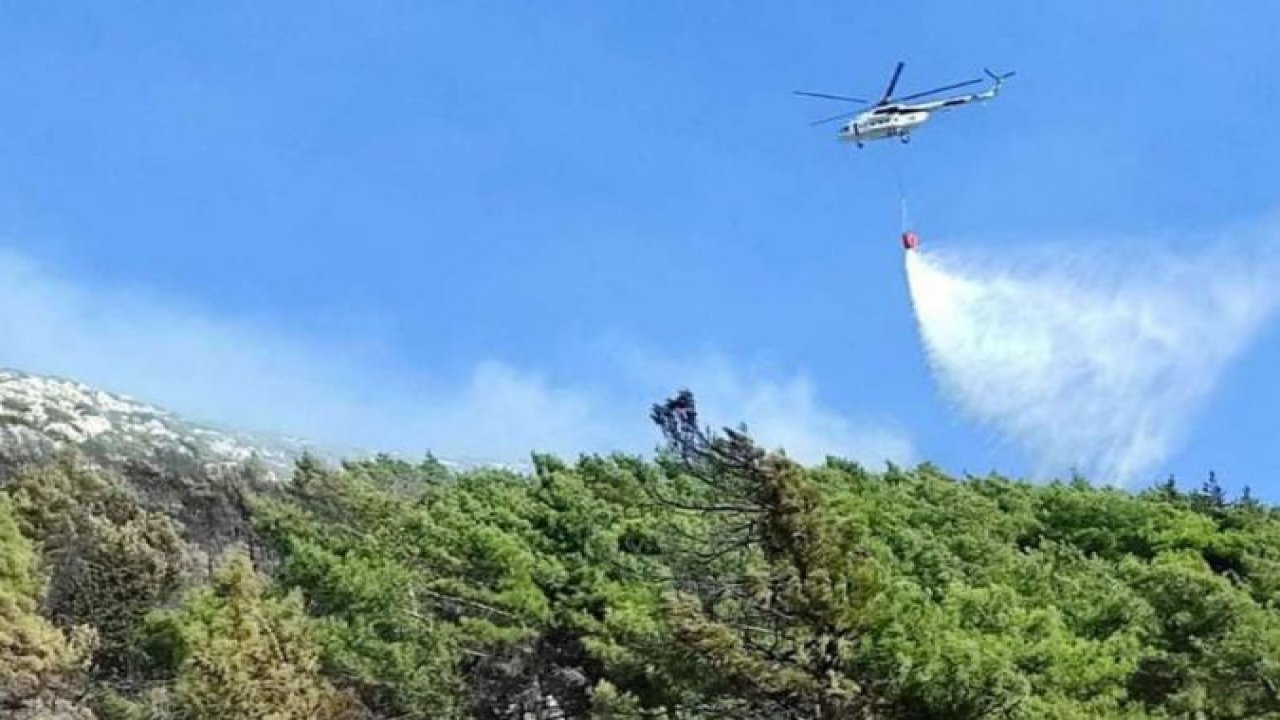 İzmir'de orman yangını