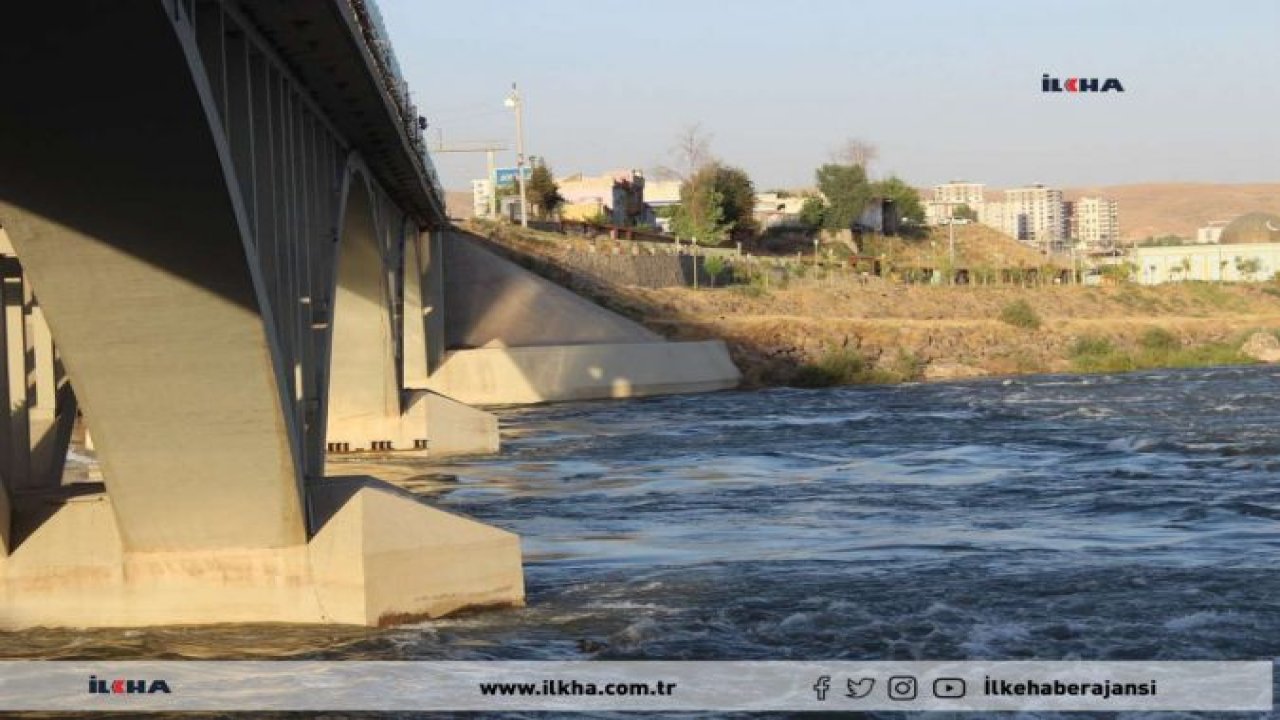 Dicle Nehri’nde su samuru görüntülendi