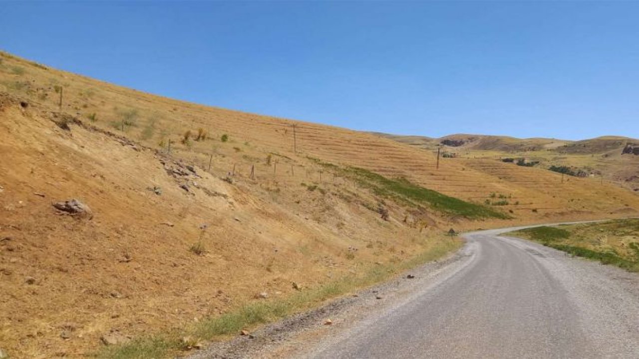 Muş'ta milyonlar harcanarak dikilen fidanlardan eser kalmadı!