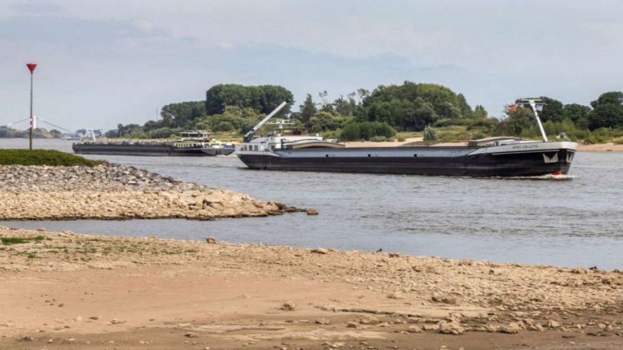 Almanya’da aşırı sıcakların yol açtığı kuraklık Ren Nehri'ni de vurdu