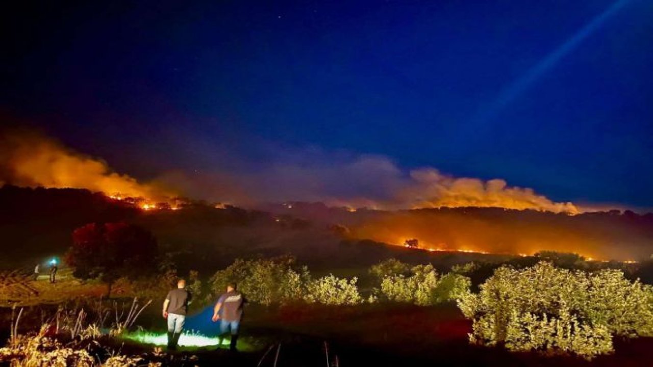 Diyarbakır'da orman yangını