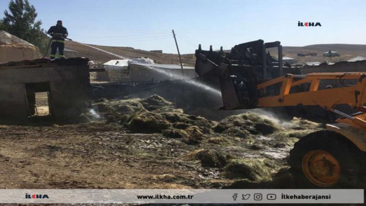 Van’da 2 bin bağ ot kül oldu