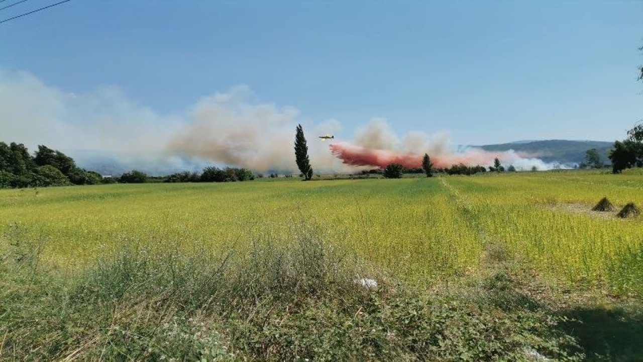 Muğla'daki tarım arazisi alev alev yanıyor