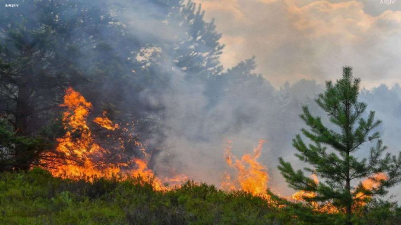 Bursa'da sazlık alanda yangın