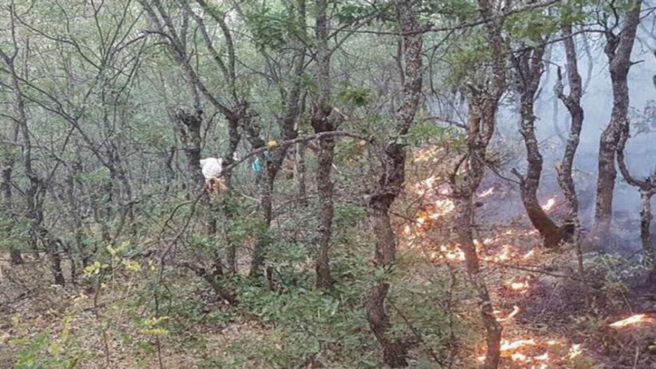 Tunceli'de ormanlık alandaki yangın söndürüldü