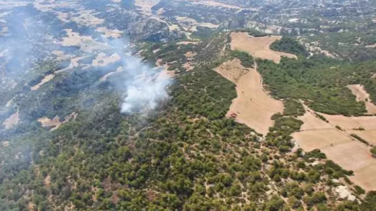 Manisa'da korkutan orman yangını