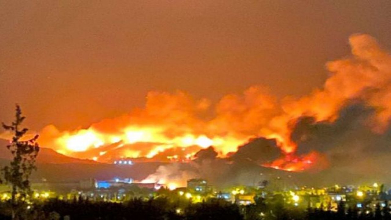 Hatay'da orman yangını