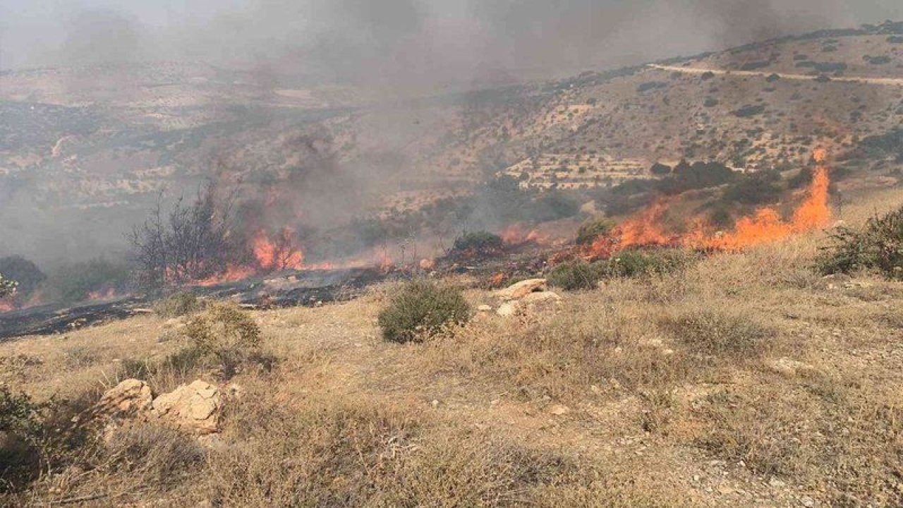 Gaziantep'te orman yangını