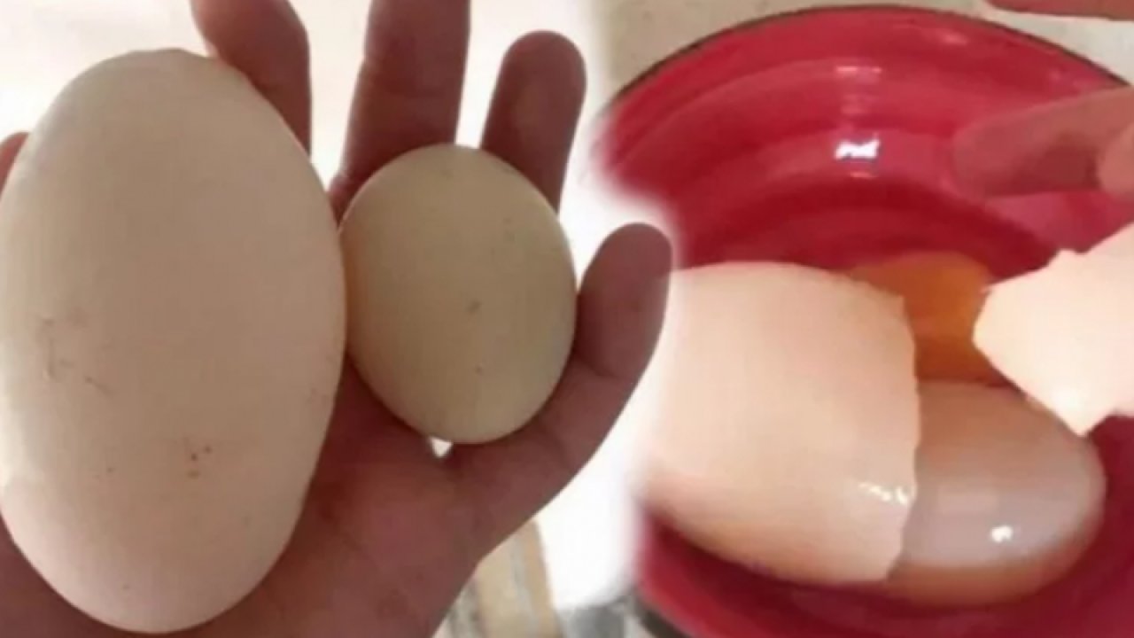 Yumurta doğurdu! Adıyaman'da yumurta kıran kadın hayatının şokunu yaşadı