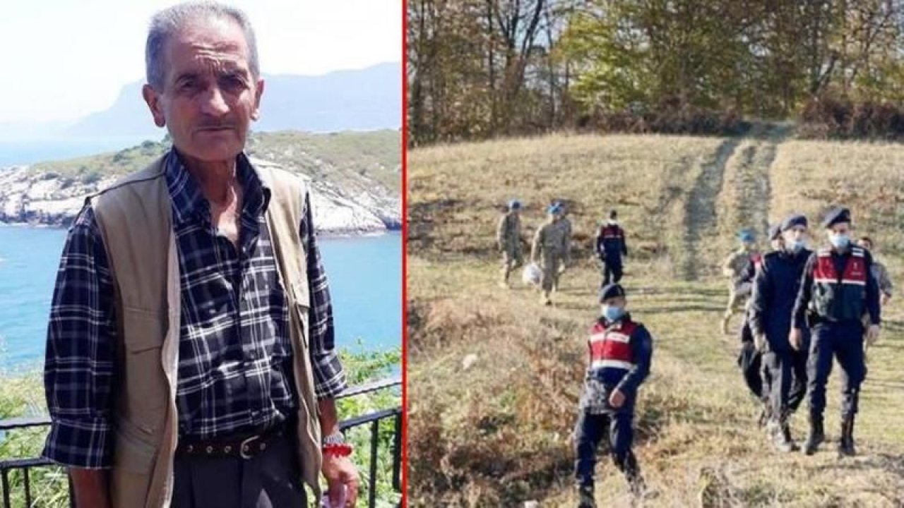 Zonguldak'ta kesik baş cinayetinde flaş gelişme! Katili öyle bir isim çıktı ki...