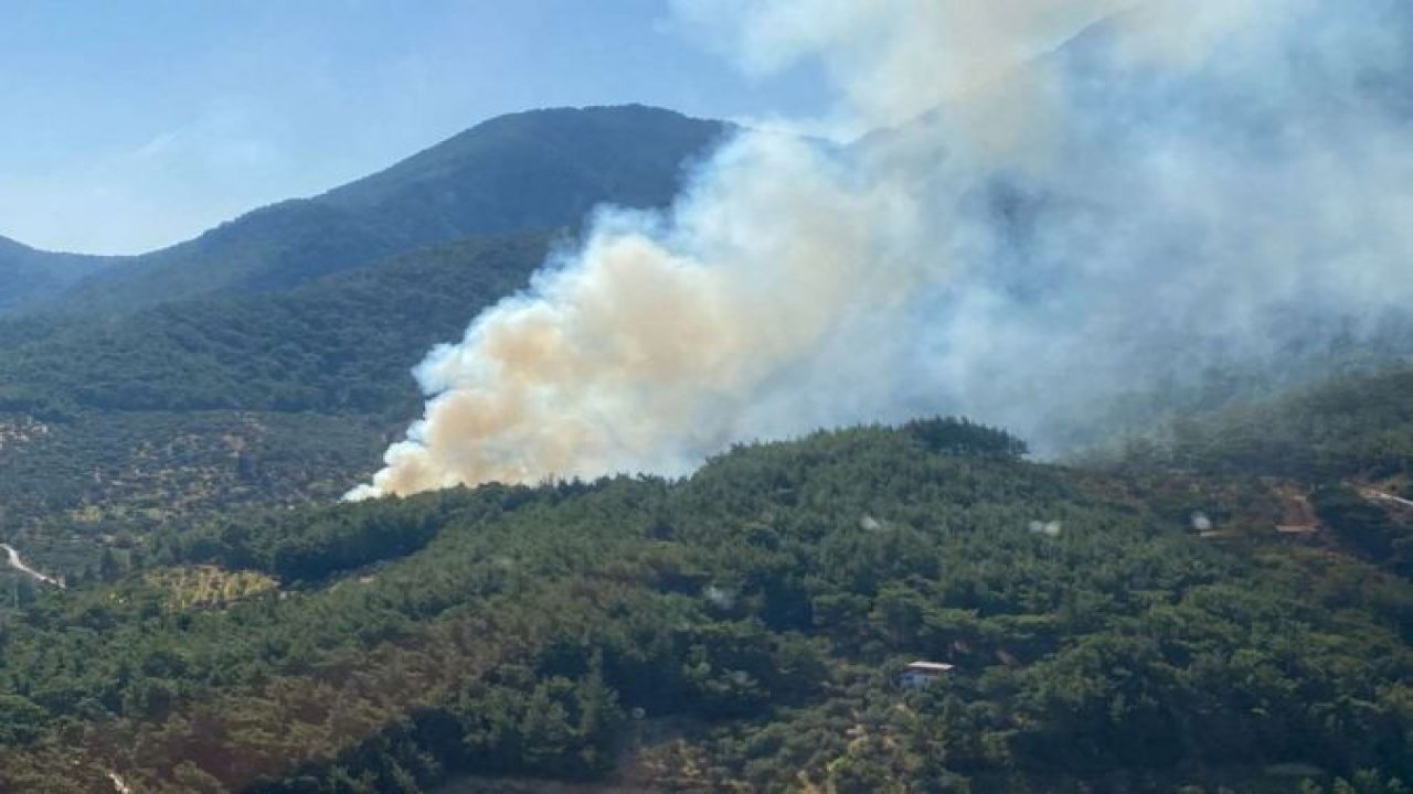 İzmir'deki orman yangını kontrol altına alındı