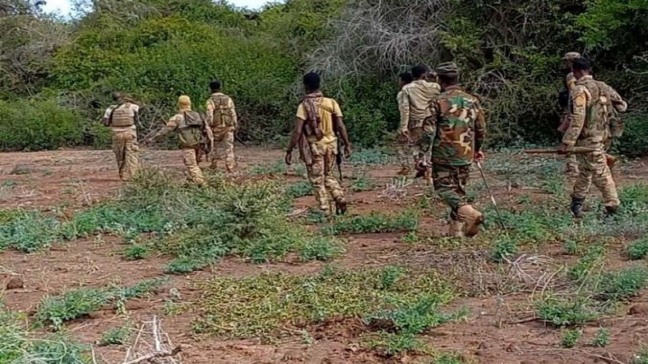 Somali ordusu: 75 Eş-Şebab mensubu öldürüldü