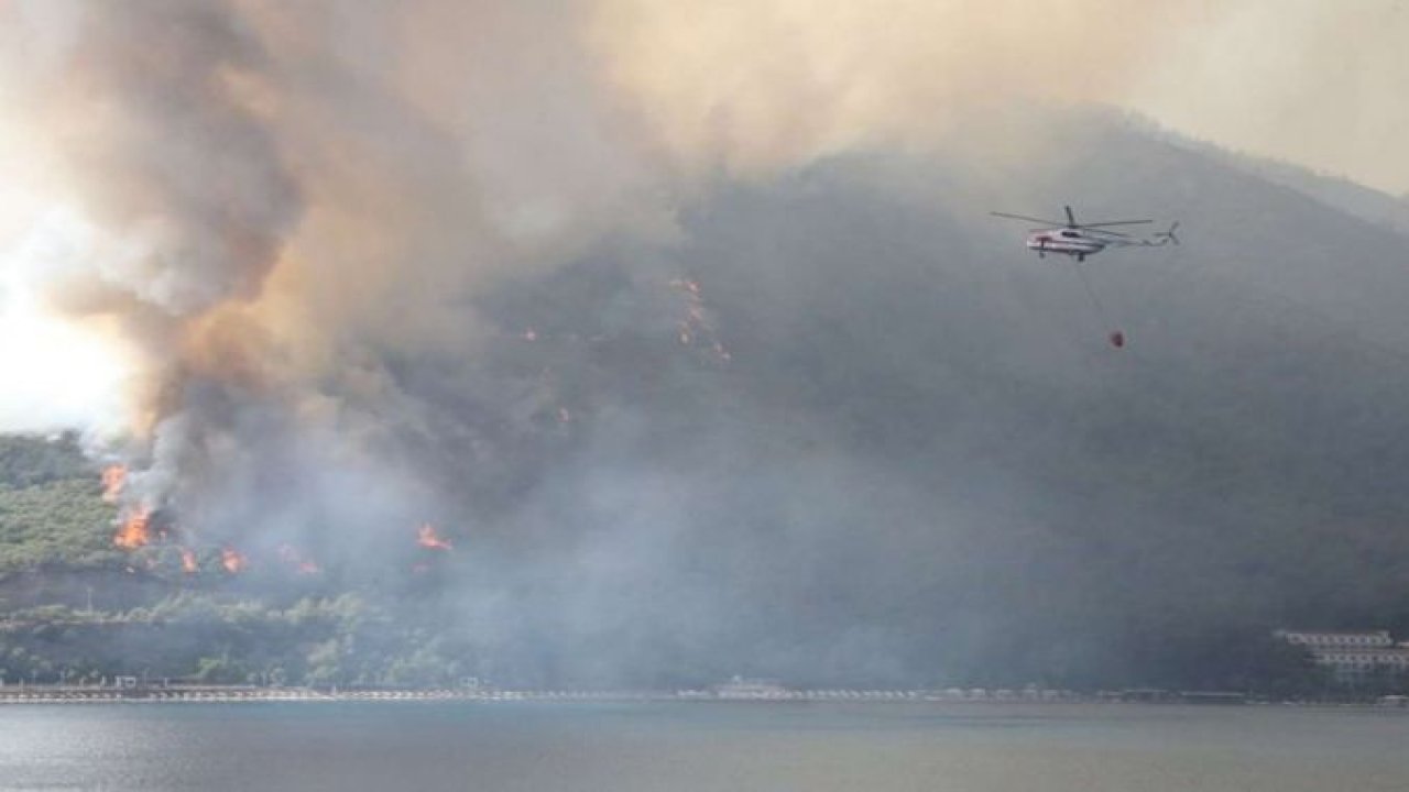 İzmir'de makilik alanda yangın