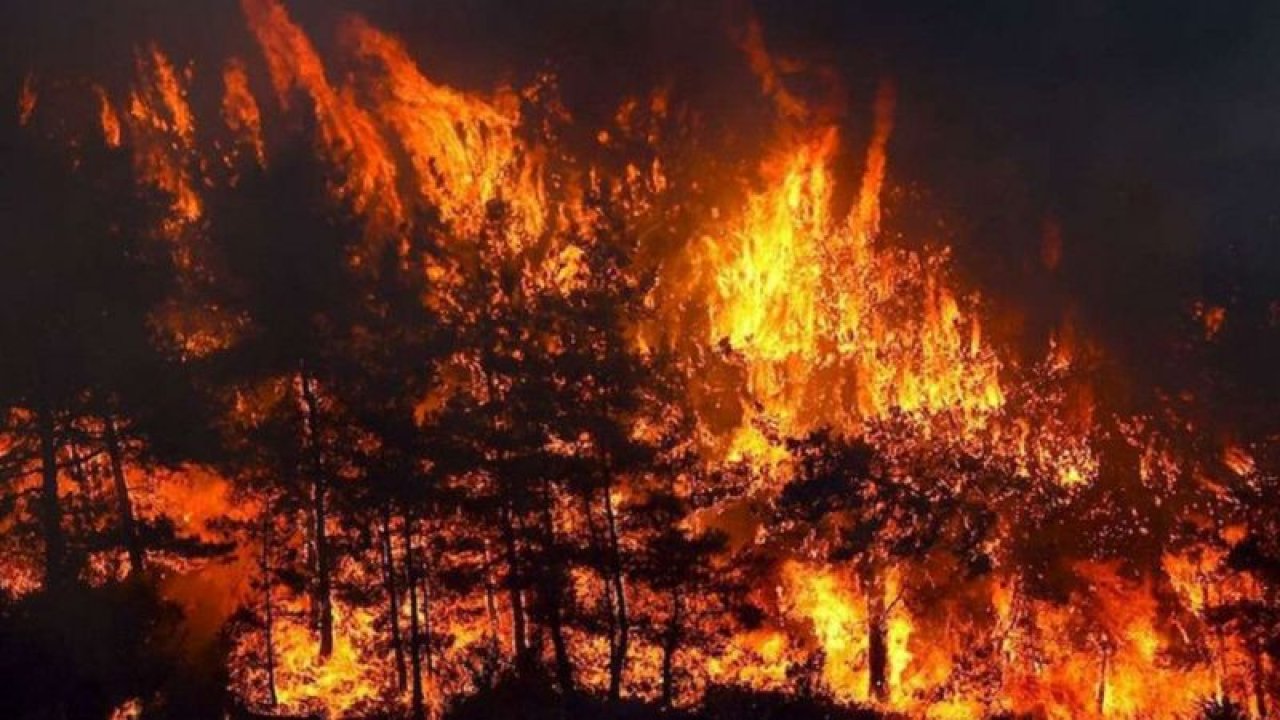 Marmaris yangın telaşındayken bir de Antalya'da yangın başladı!