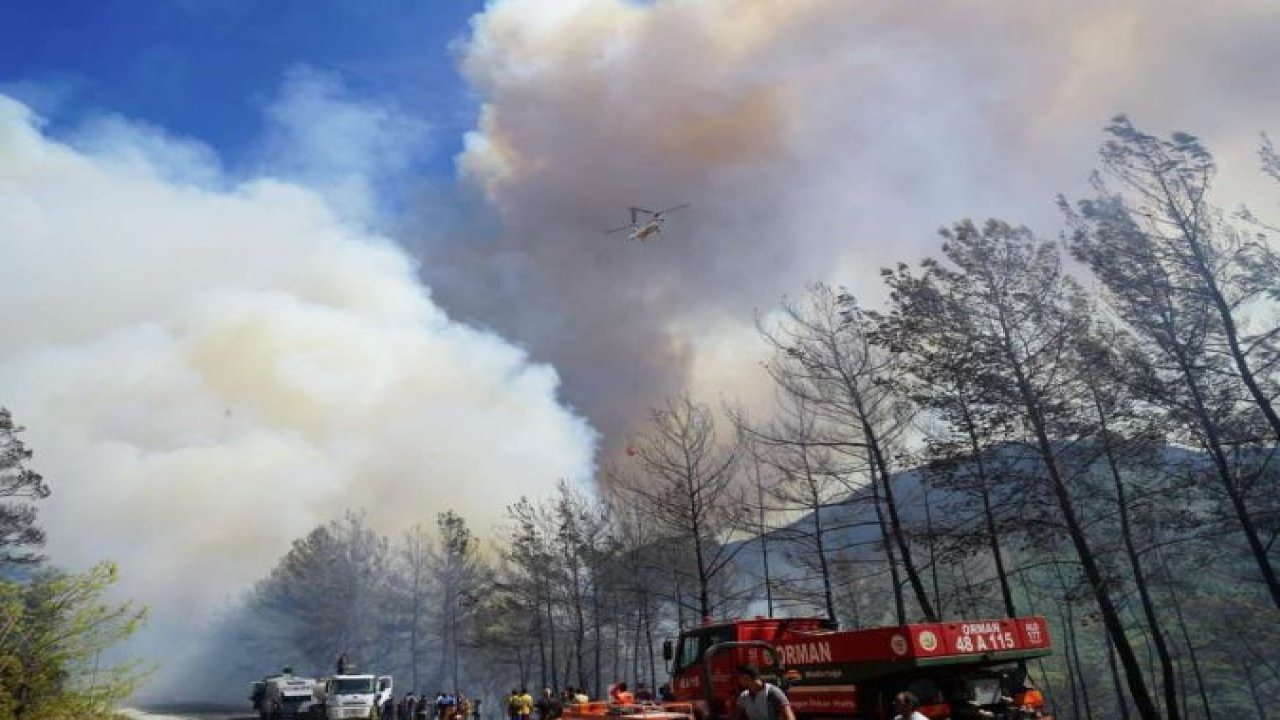 Marmaris'teki orman yangınına müdahale sürüyor