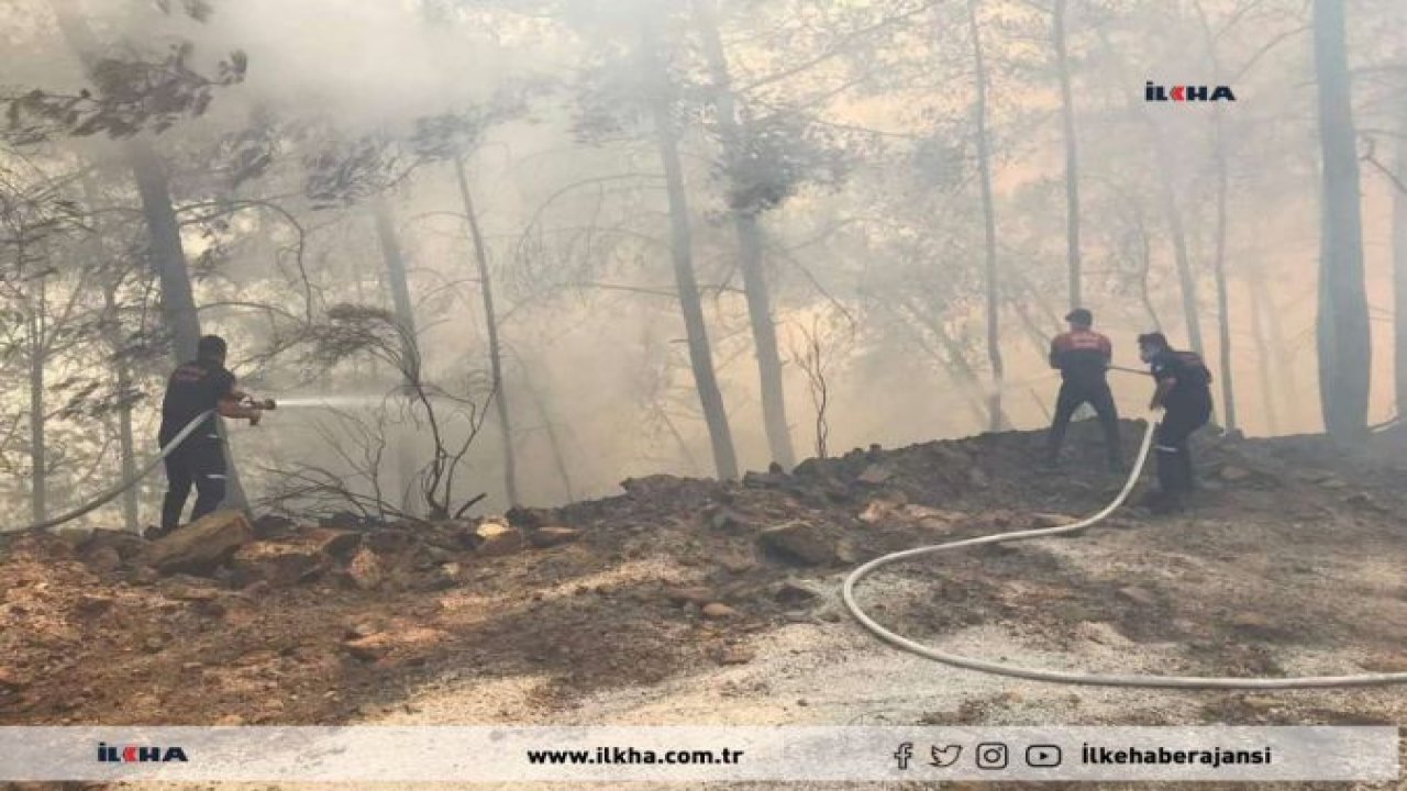 AFAD'dan Marmaris'teki yangın çalışmalarına ilişkin açıklama