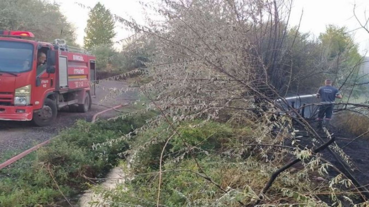 ​Bingöl'de bir bahçede çıkan yangın büyümeden söndürüldü