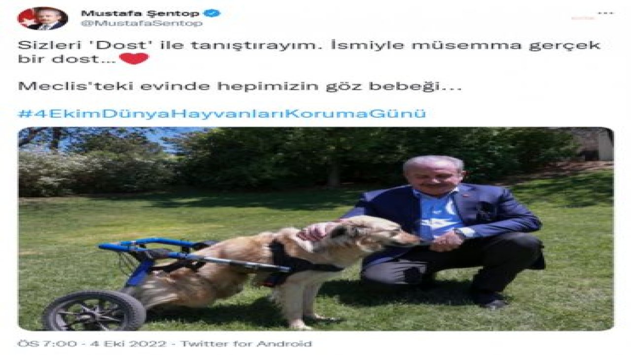 ŞENTOP’TAN 4 EKİM DÜNYA HAYVANLARI KORUMA GÜNÜ MESAJI