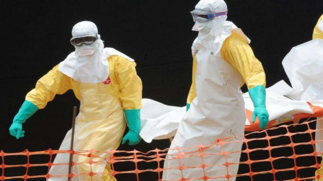 Nijerya'da Ebola salgını alarmı