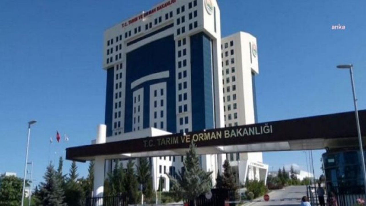 TARIM BAKANLIĞI BUZAĞI VE BÜYÜKBAŞ HAYVAN SAYISINDAKİ HEDEFİNİ DÜŞÜRDÜ