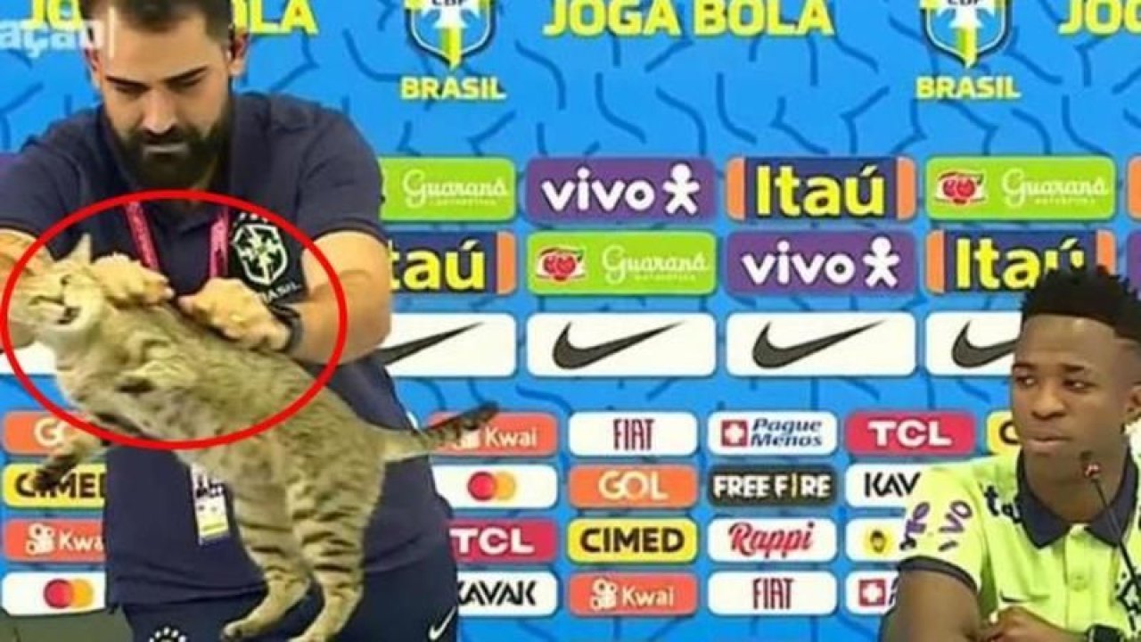 Brezilyalı yıldızın basın toplantısındaki görüntüye tepki yağdı! Kediyi böyle yere fırlattı!