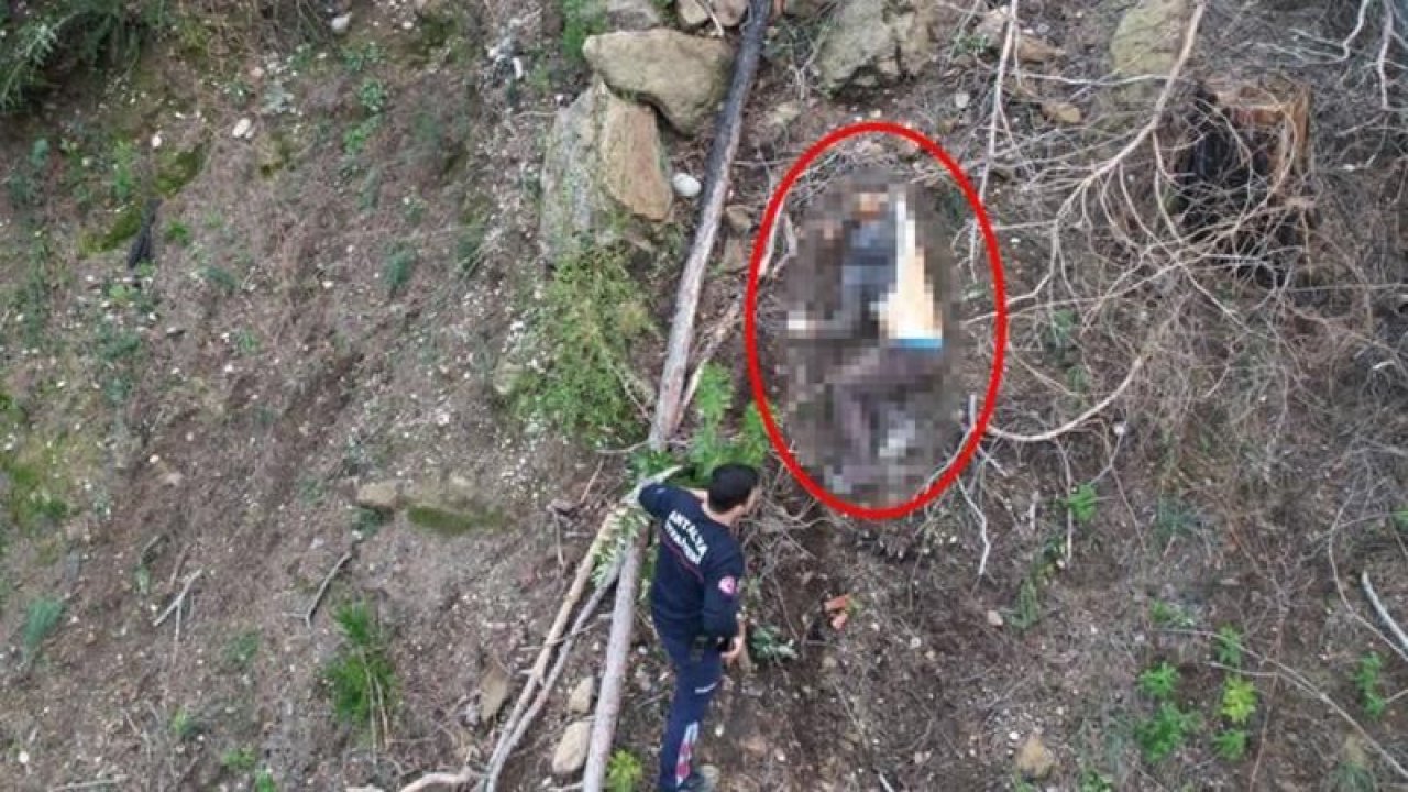 Antalya'da ağaç kesen adamın feci sonu! 70 metrelik uçurumda asılı kaldı