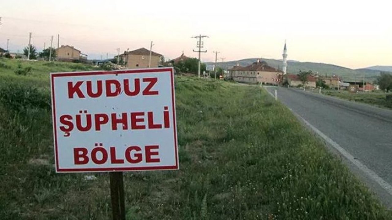 Tunceli'de kuduz hortladı! 6 ay giriş ve çıkış yasağı başladı