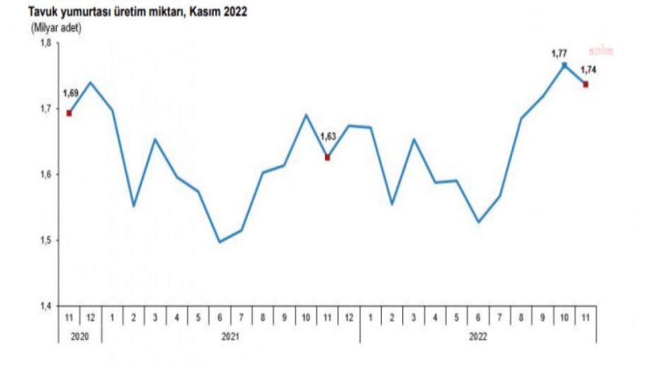 TÜİK: KASIMDA TAVUK ETİ ÜRETİMİ YÜZDE 6, YUMURTA ÜRETİMİ DE YÜZDE 1,7 AZALDI