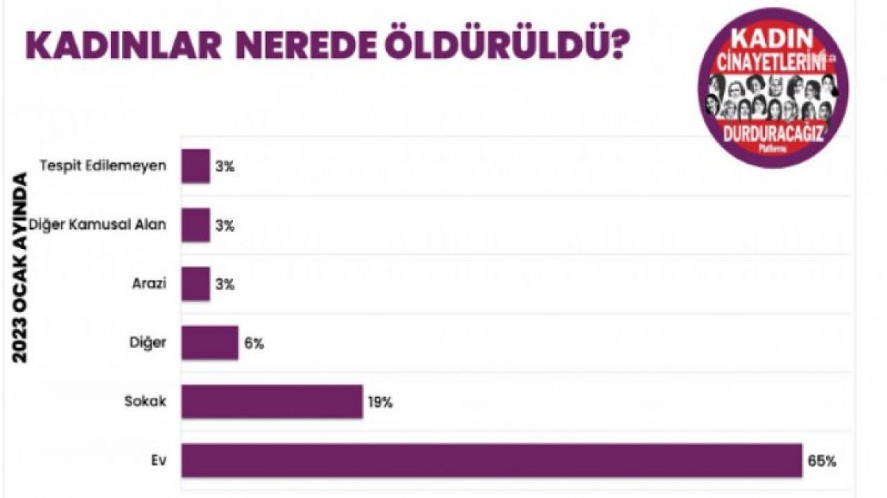 KADIN CİNAYETLERİNİ DURDURACAĞIZ PLATFORMU'NUN OCAK AYI RAPORU: 31 KADIN ÖLDÜRÜLDÜ, 25 KADIN ŞÜPHELİ ŞEKİLDE ÖLÜ BULUNDU