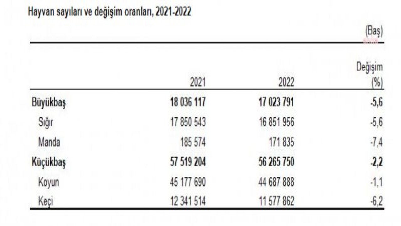 TÜİK: BÜYÜKBAŞ HAYVAN SAYISI YÜZDE 5,6, KÜÇÜKBAŞ HAYVAN SAYISI YÜZDE 2,2 AZALDI