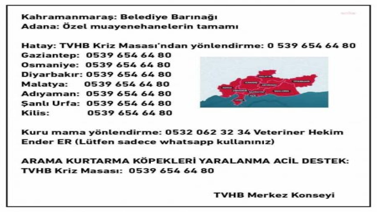 TÜRK VETERİNER HEKİMLERİ BİRLİĞİ, DEPREM BÖLGESİNDEKİ HAYVANLARA TEDAVİ VE MAMA DESTEĞİ VERİYOR