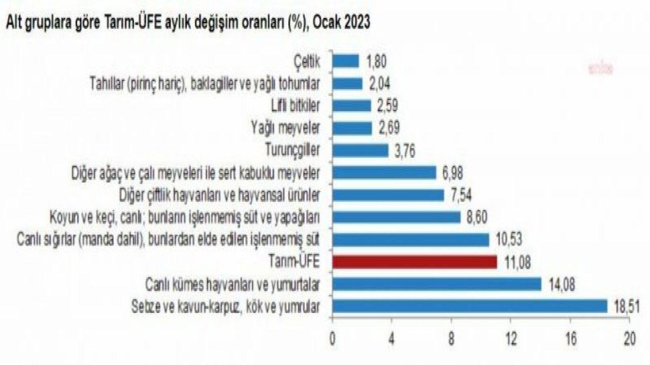 TÜİK: TARIM ÜRETİCİ FİYAT ENDEKSİ AYLIK YÜZDE 11,08, YILLIK YÜZDE 142,84 ARTTI