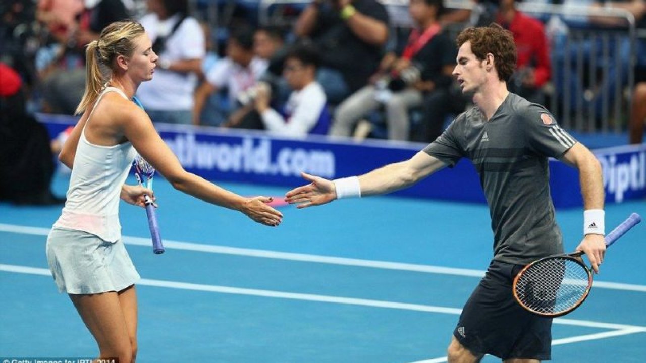 Andy Murray, Sharapova'nın peşini bırakmıyor