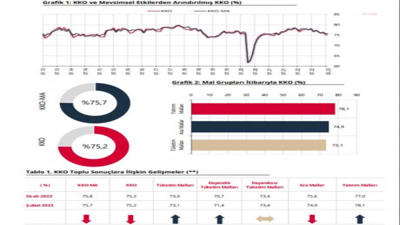 MERKEZ BANKASI: ŞUBAT AYI İMALAT SANAYİ KAPASİTE KULLANIM ORANI 0,1 PUAN GERİLEDİ