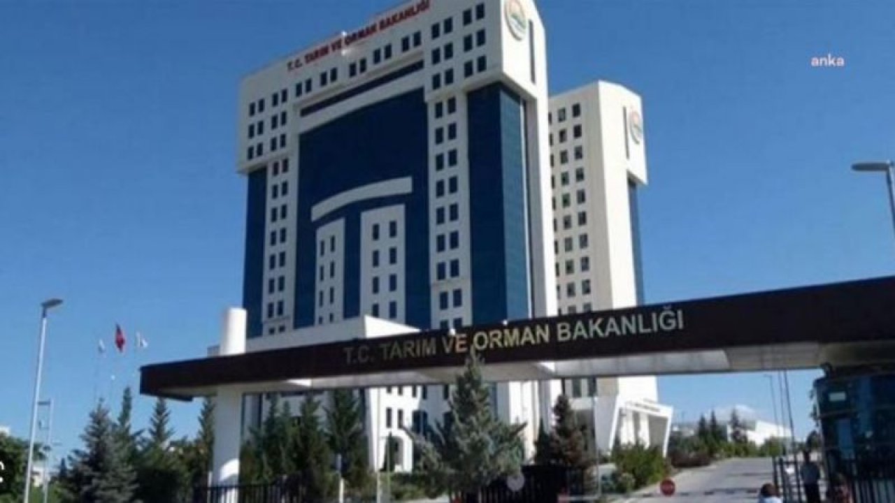 TARIM VE ORMAN BAKANLIĞI: "ÜRETİLEN SOĞAN MİKTARI, HALKIMIZIN İHTİYACINI FAZLASIYLA KARŞILAYACAK SEVİYEDEDİR"