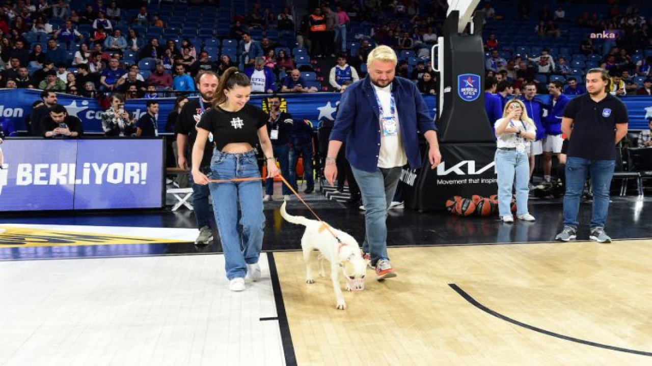 ANADOLU EFES, DEPREMZEDE KÖPEKLERİ SİNAN ERDEM SPOR SALONU'NDA AĞIRLADI