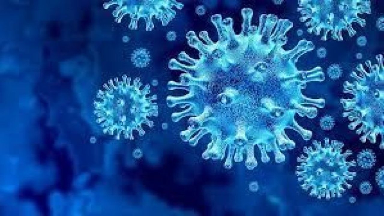 Bakan Koca'dan kritik koronavirüs açıklaması