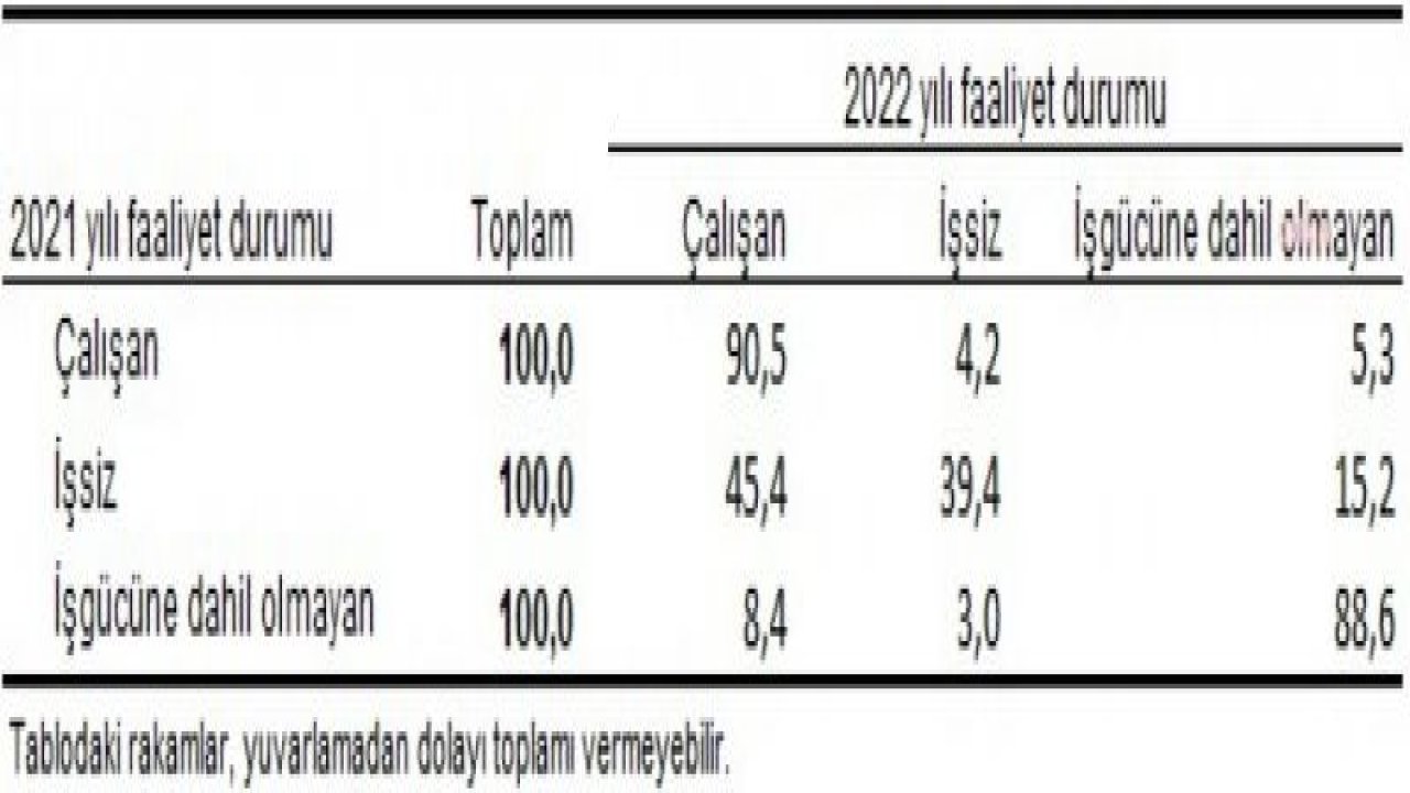 TÜİK: EN YÜKSEK GELİR GRUBUNUN TOPLAM GELİRDEN ALDIĞI PAY YÜZDE 48 OLDU