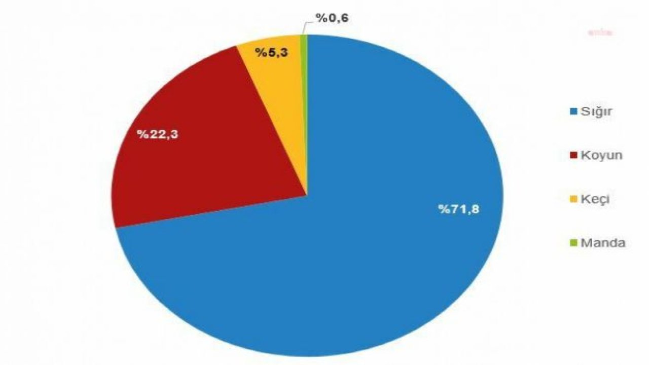 TÜİK: KIRMIZI ET ÜRETİMİ GEÇEN YIL YÜZDE 12,3 ARTARAK 2 MİLYON 191 BİN 625 TON OLDU