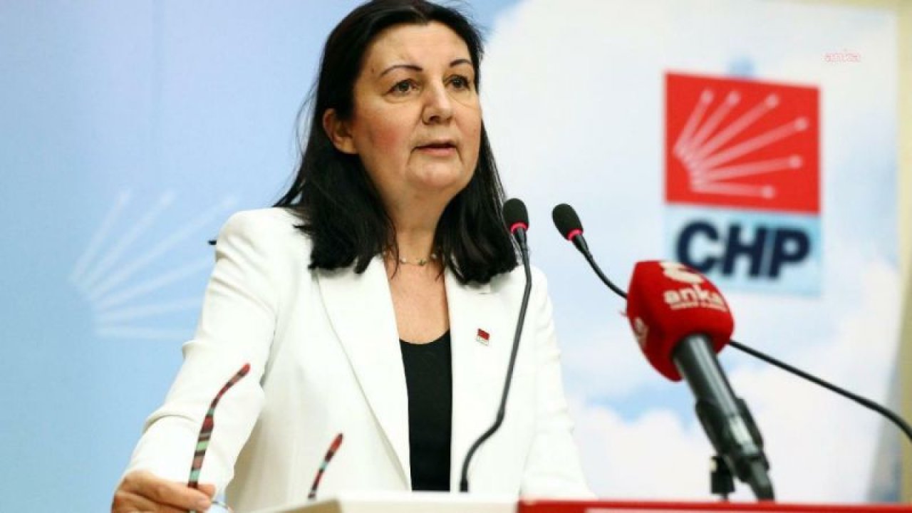 LALE KARABIYIK: LGS SONUÇLARI, BİZLERE EĞİTİMDEKİ EŞİTSİZLİĞİ BİR KEZ DAHA GÖSTERMİŞTİR