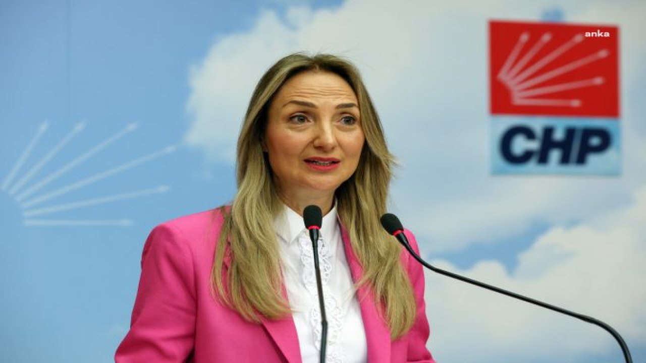 AYLİN NAZLIAKA: “İKTIDARIN UNUTTUĞU BIR GERÇEK VAR; KADINLARIN ÖRGÜTLÜ GÜCÜ ONLARI SANDIĞA GÖMECEK”