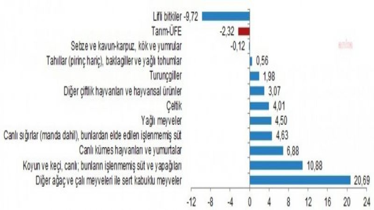 TÜİK: 12 AYLIK ORTALAMALARA GÖRE ÜRETİCİ FİYATLARINDAKİ ENFLASYON 134,06 OLDU